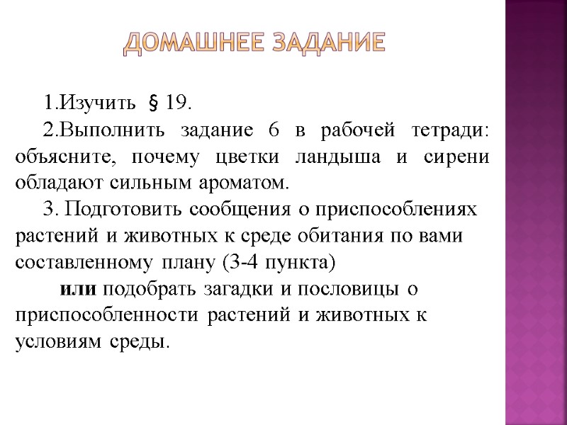 Домашнее задание 1.Изучить  § 19. 2.Выполнить задание 6 в рабочей тетради: объясните, почему